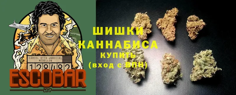 купить   блэк спрут как войти  Марихуана план  Анадырь 